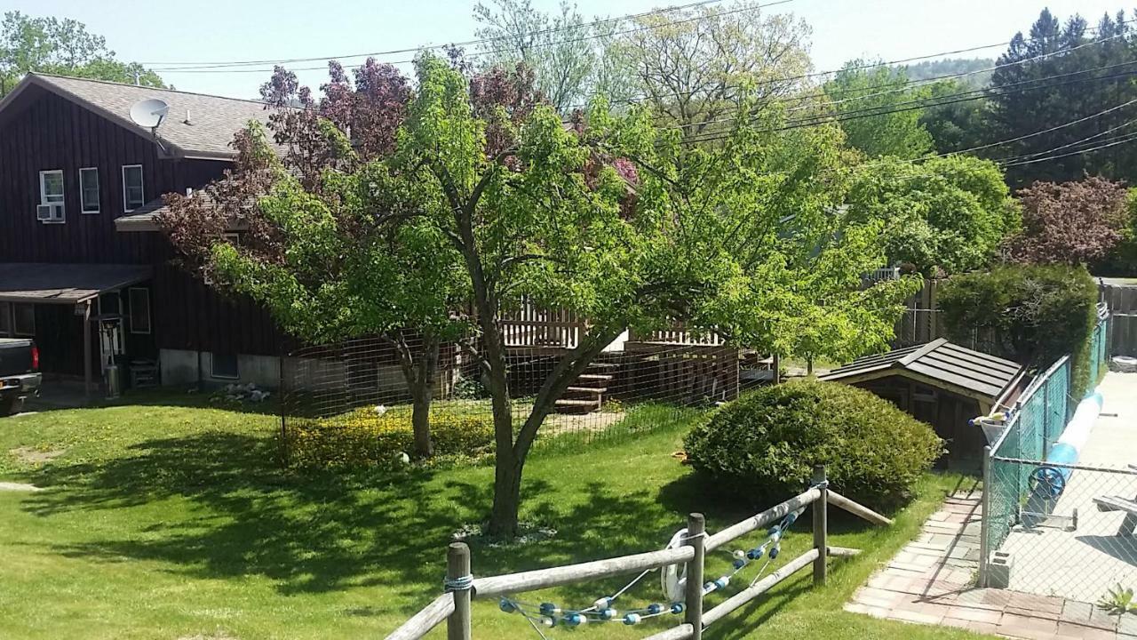 Nassau Motel Lake George Luaran gambar